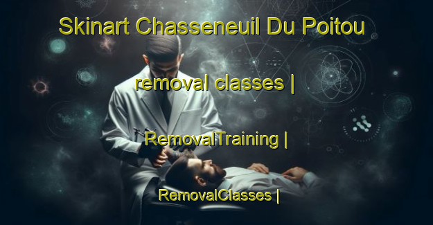 Skinart Chasseneuil Du Poitou removal classes | RemovalTraining | RemovalClasses | SkinartTraining-France